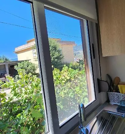 Teuta *